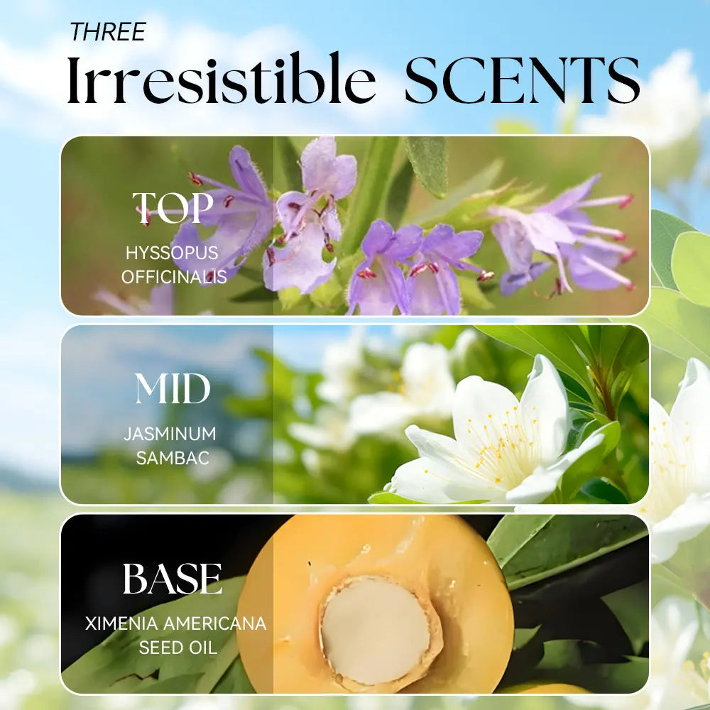 Women's Perfume Lasts and Leaves a Light and Elegant Floral Fragrance Natural Fragrance YSLYSL